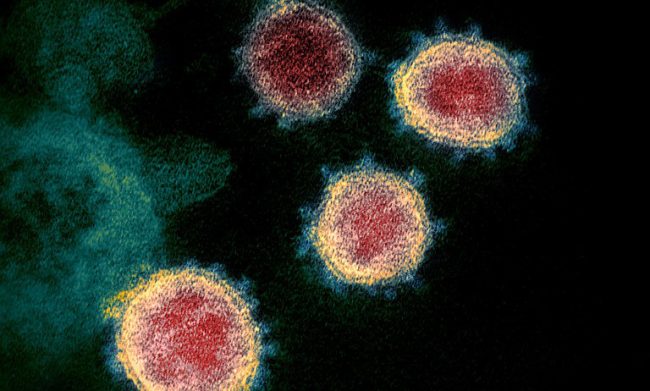 Coronavirus