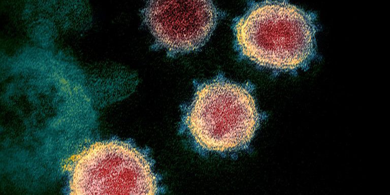 Coronavirus