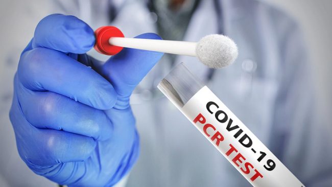 Sinnlose PCR-Tests