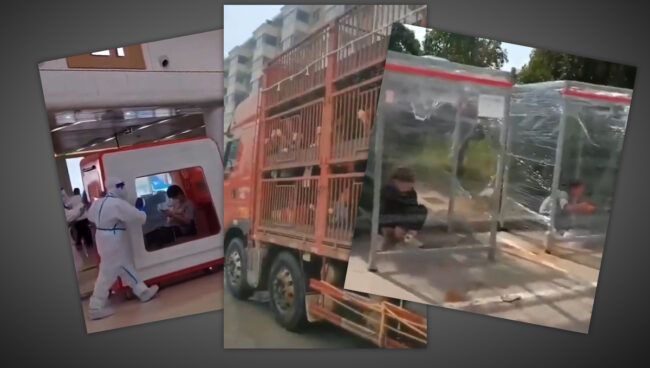 china_massnahmen Unheimlich verrückte Welt in China--Menschen in Käfighaltung