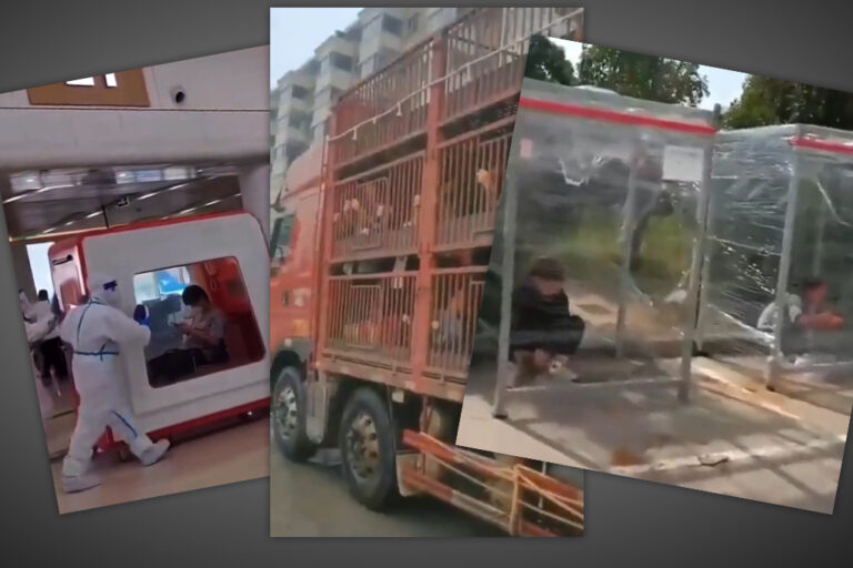 china_massnahmen Unheimlich verrückte Welt in China--Menschen in Käfighaltung